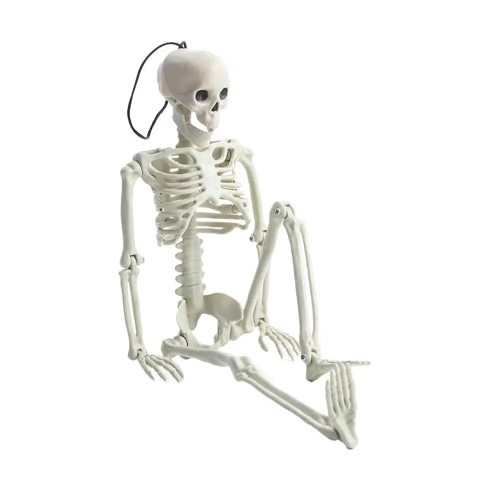 40cm Ornaments Car interior accessories Biology teaching Human Bones Halloween props Car Rearview mirror pendant Skeleton model Zpaxo