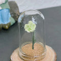 Rose Under Glass Cloche – 1:12 Miniature Dollhouse & Fairy Garden