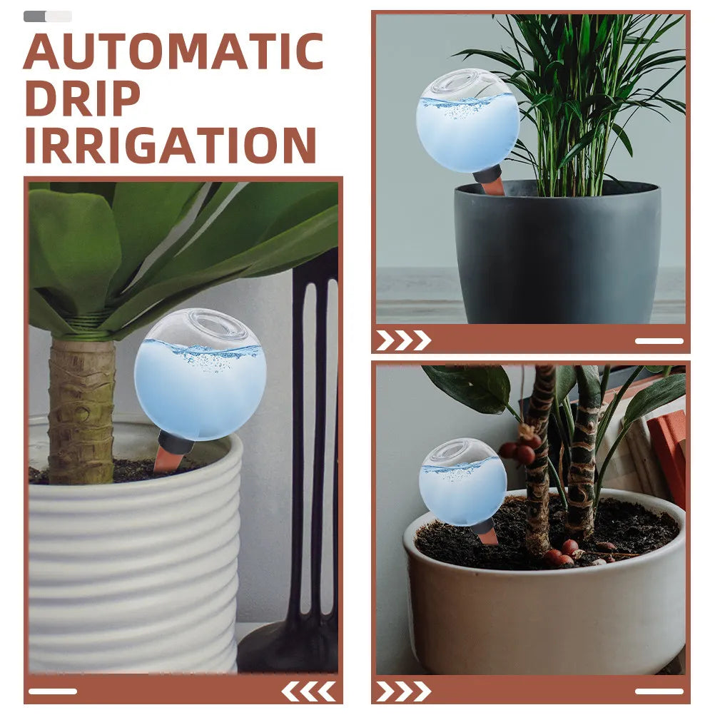 2Pcs Self Globes Automatic Plant Waterer for Succulents Indoor Outdoor Plant Irrigation System Globe Zpaxo