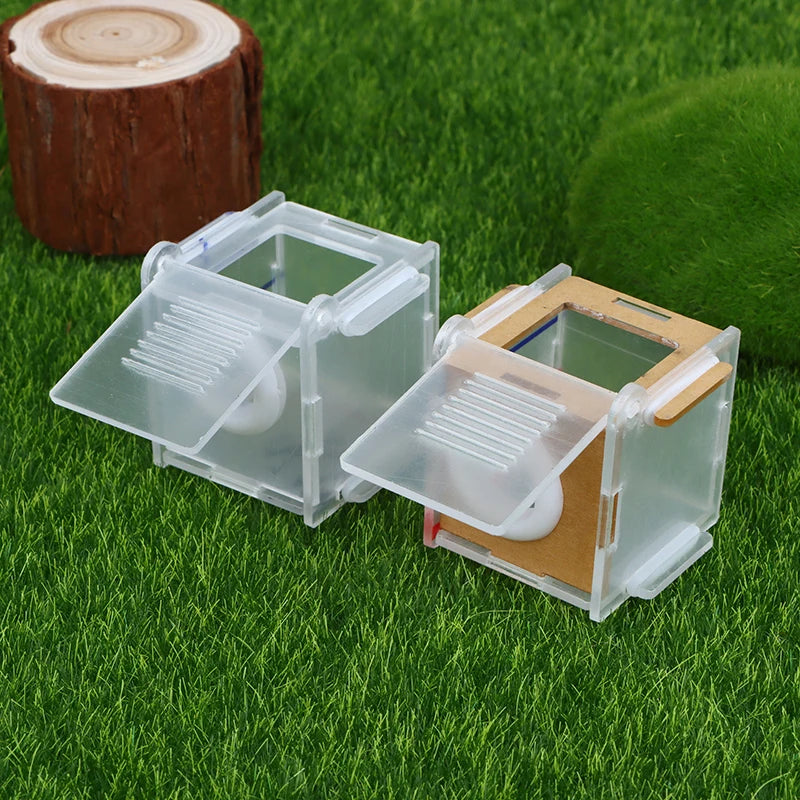 Ant Nest Glass Tube Mini Active Zone Insect House Acrylic Farm 15