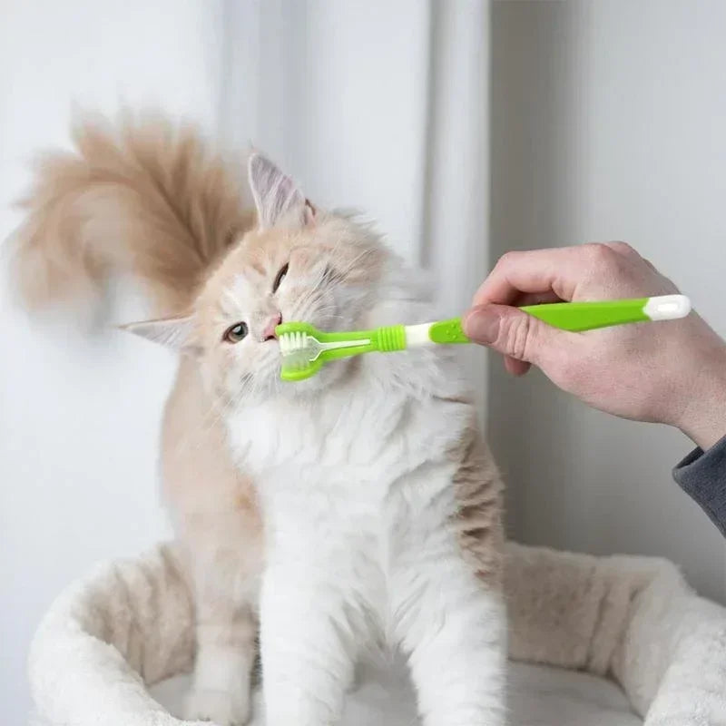 3-Sided Pet Toothbrush Dog Plastic Removing Tartar Cleaning Mouth