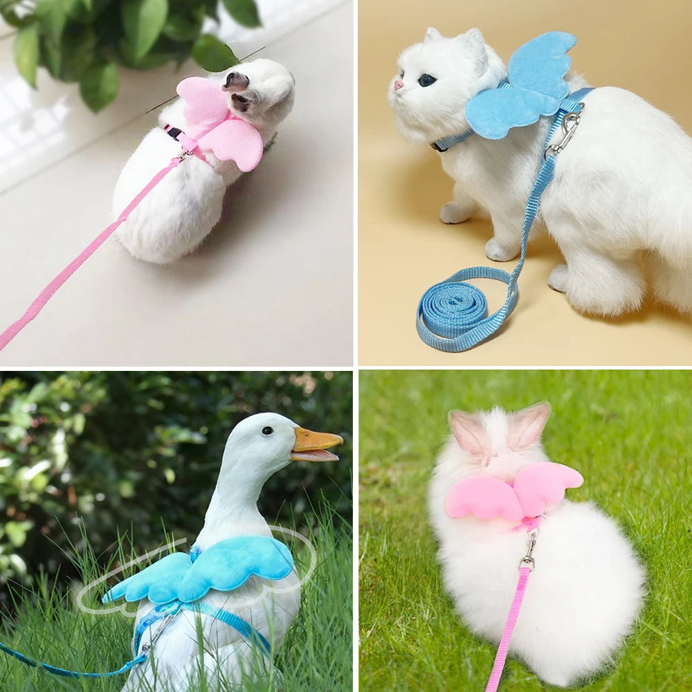 Angel Wing Small Pet Harness & Leash – Cats, Rabbits & Ducks