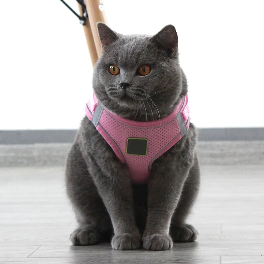Reflective Dog Harness Vest Pet Chest Strap Leash Puppy Outdoor Night