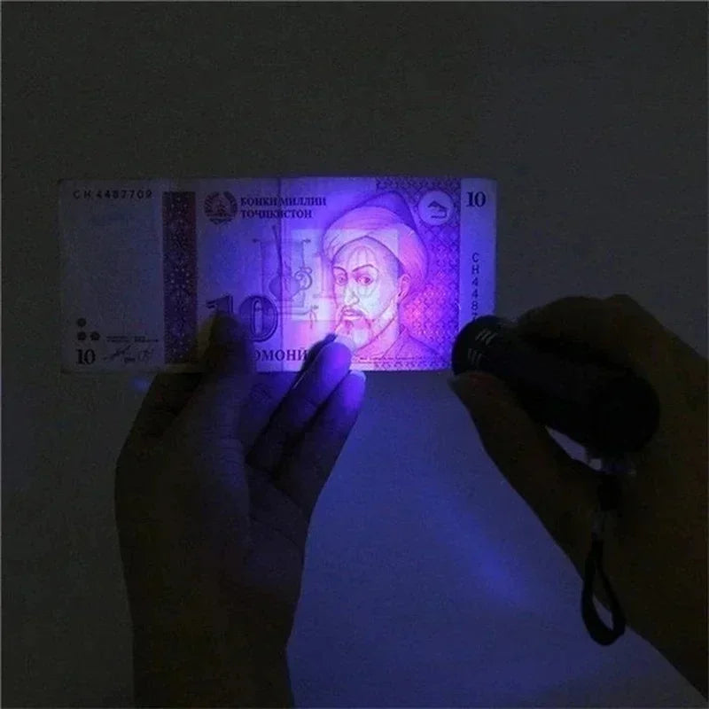 395nm UV Black Light Flashlight – Pet Stain & Scorpion Detector