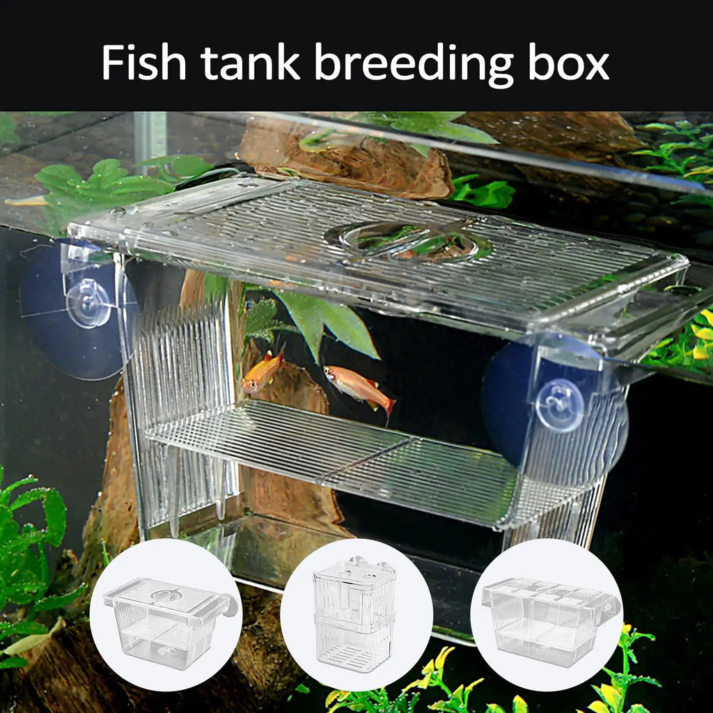 Aquarium Fish Breeder Box Clear Betta Fish Tank Fish Breeding Isolation Box Hatching Incubator Box For Baby Fish Shrimp Trap Box Zpaxo