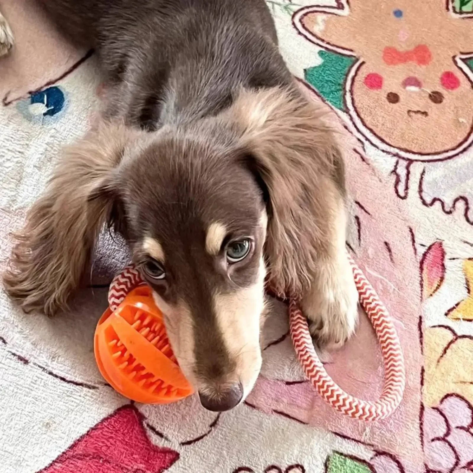 Dog Toys Balls Interactive Supports Rope Rubber Leaking Small Medium
