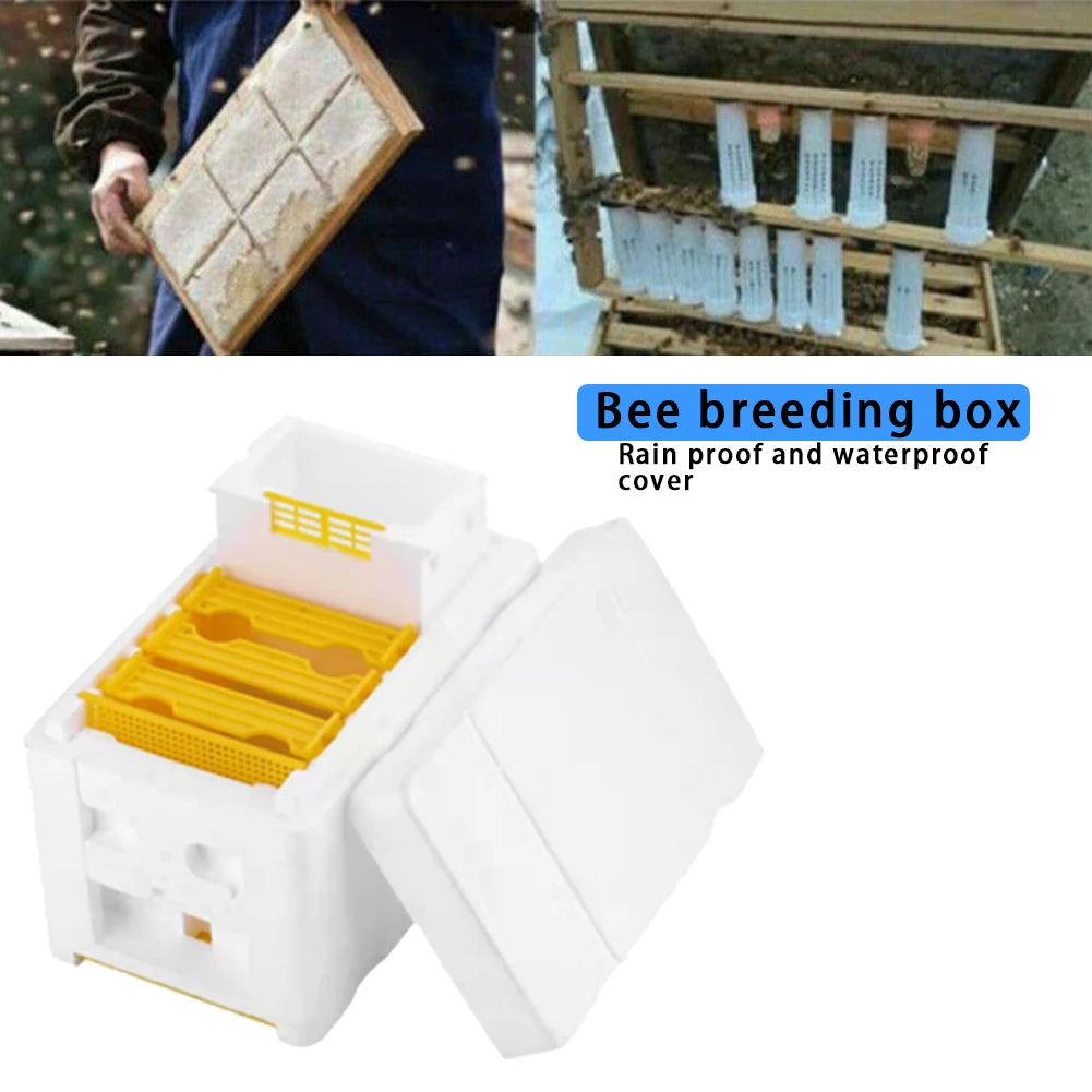 Foam Pollination Boxes Bee Nest Tool Multi-Function Beehive Beekeeping King Box Bee Hive Frame Holder Equipment Kit Zpaxo