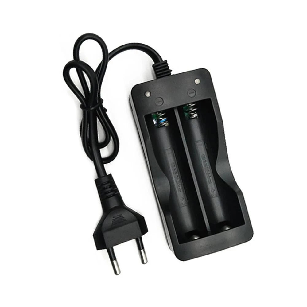 18650 Battery Charger EU Plug Dual Slots Smart Charging Fast 14500 Zpaxo