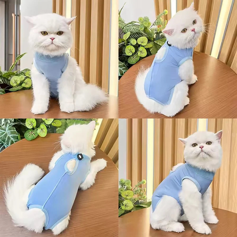 Cat Weaning Suit Anti-licking Recovery Clothes After Surgery Soft Zpaxo