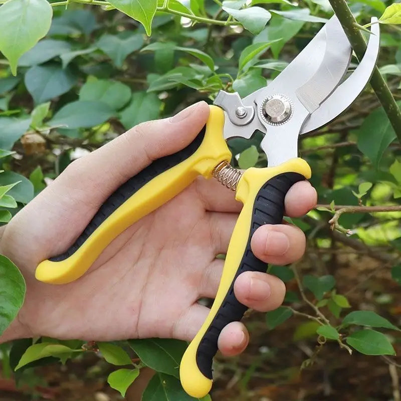 Horticultural Scissors Bird Beak Shape Branch Pruning Labor Saving Pruning Stainless Steel Picking Multifunctional Fruit Scissor Zpaxo
