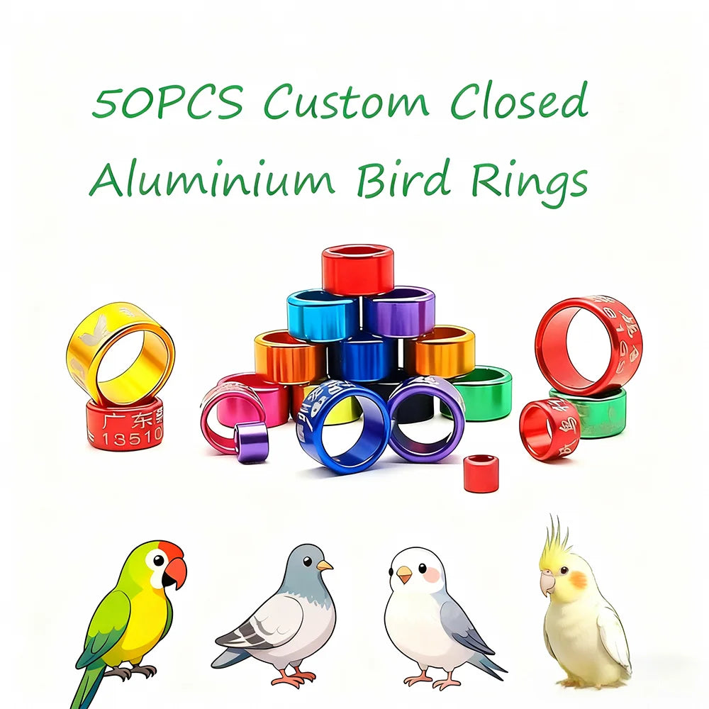 Custom Closed Aluminium Bird Rings 2025 Black 2026 Green Canary