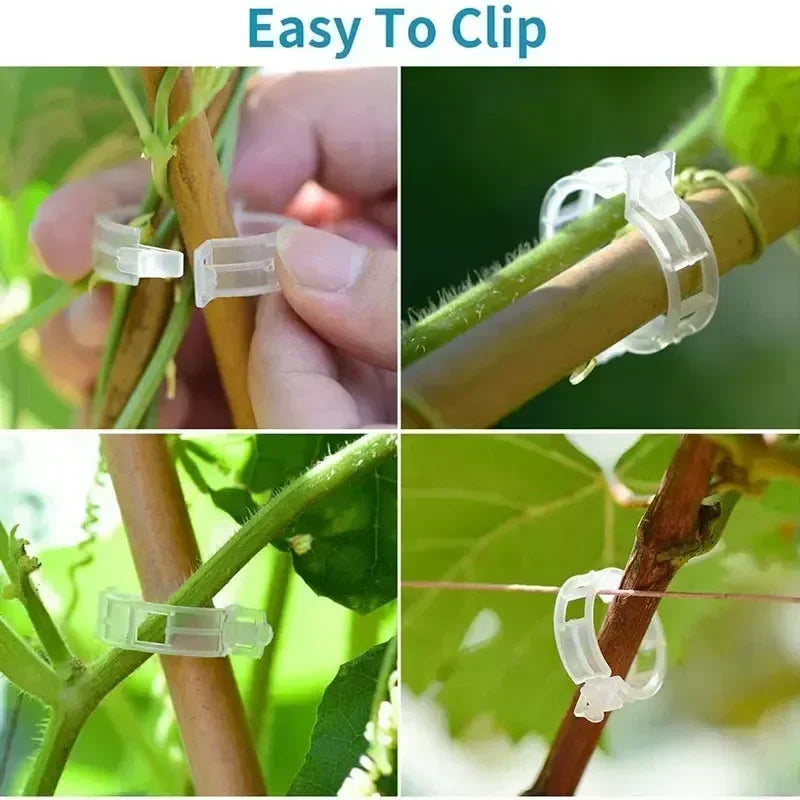 Hot Plant Clips Supports Reusable Plastic Connects Fixing Vine Tomato Stem Grafting Vegetable Plants Orchard and Garden Tools Zpaxo