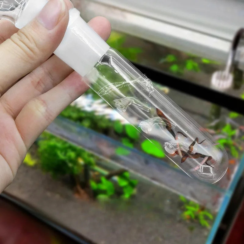 Glass Acrylic Snail Leech Vivarium Pest Catch Trap Shrimp Worm
