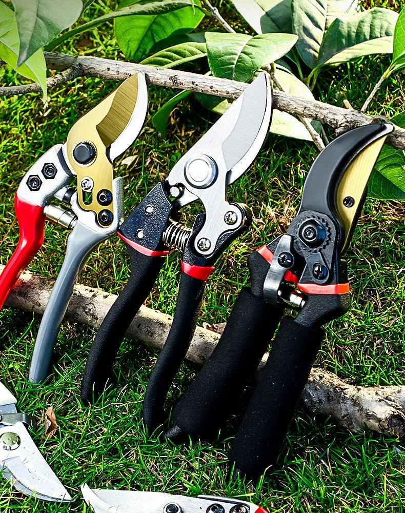 Labor-Saving Gardening Pruning Trees Cut Pruning Shears SK-5 Blade Scissors for Bonsai/Fruit Tree/Flowers/Branches Garden Pruner Zpaxo
