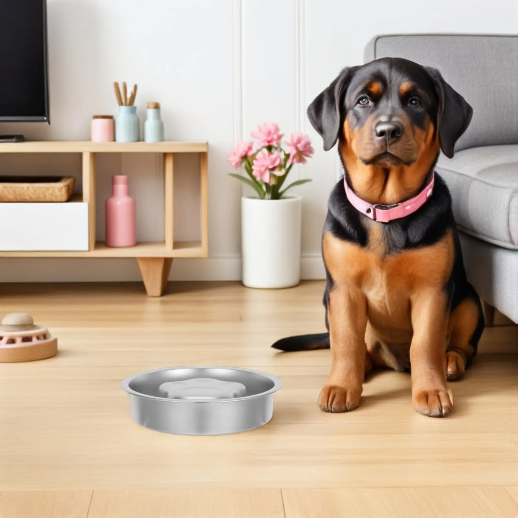Stainless Steel Slow Feed Dog Bowl Non-slip Base Licking Enrichment