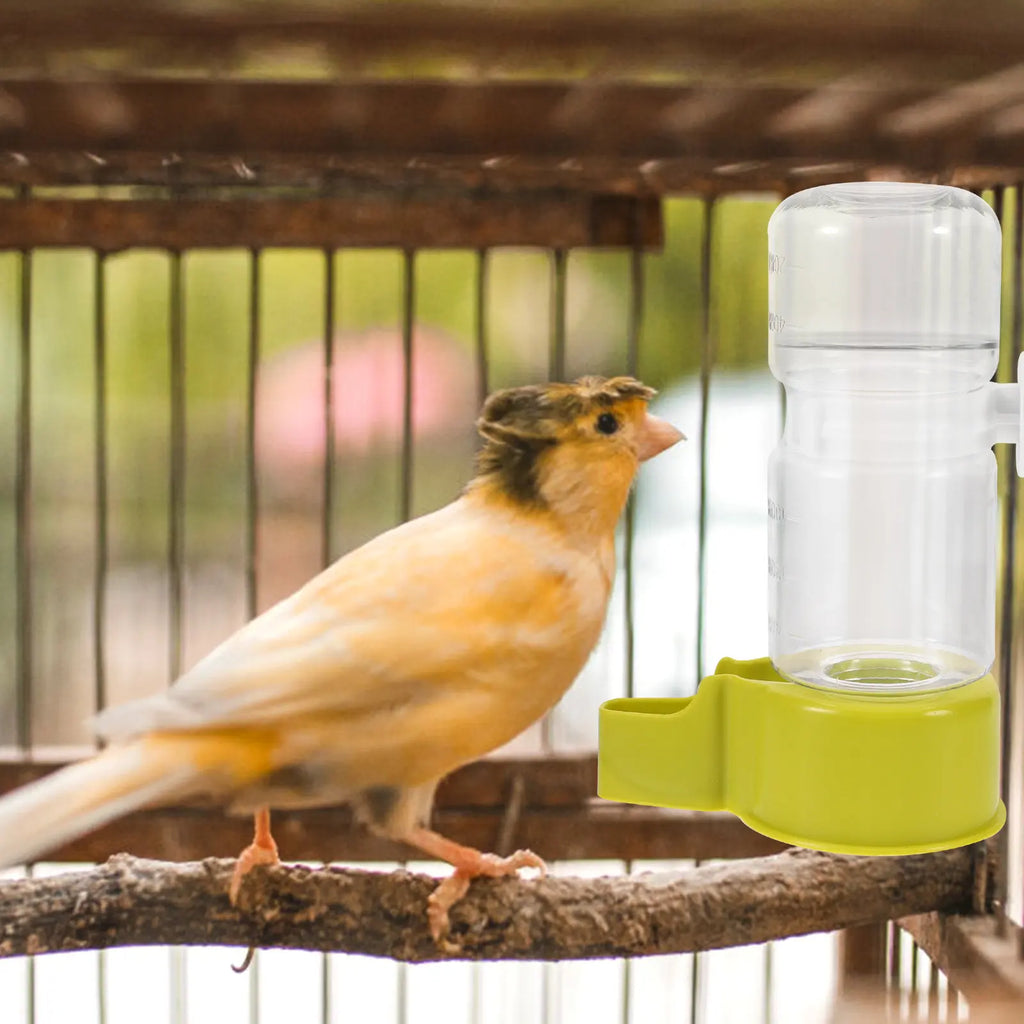 Bird Water Dispenser Cage Automatic Parrot Waterer Mounting Fresh