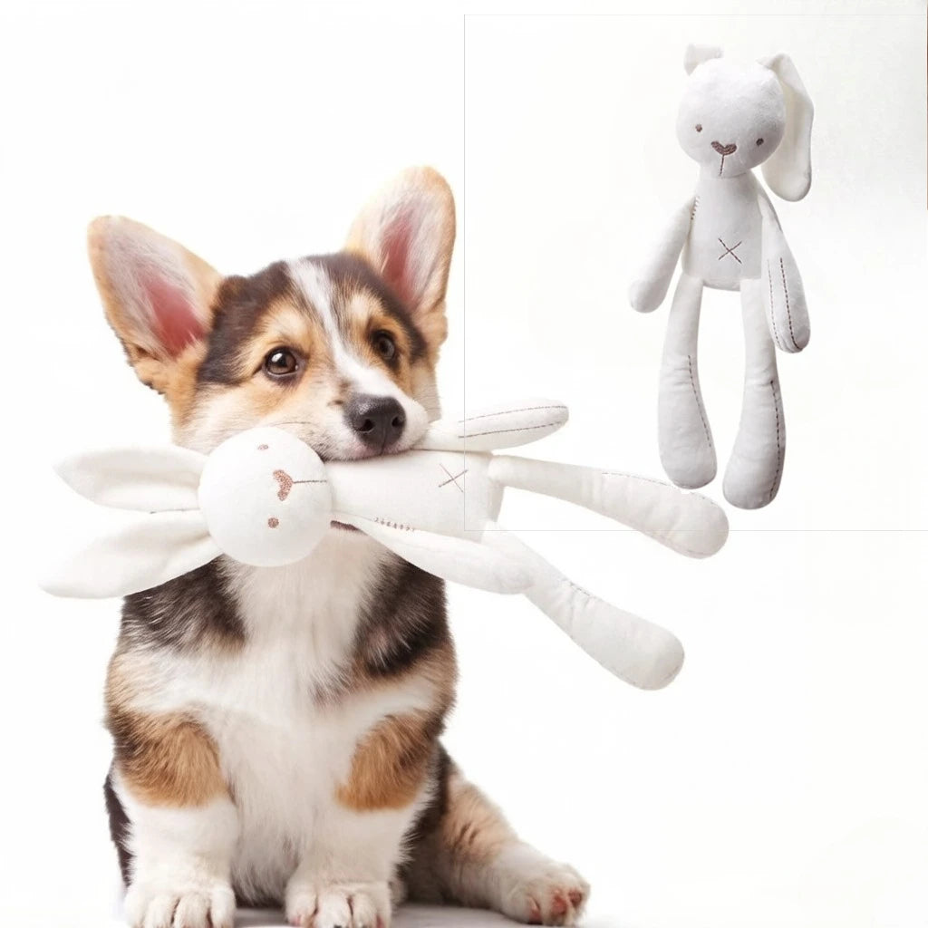 Random Easter Cartoon Rabbit Pet Plush Toy Dogs Cats Interactive Play