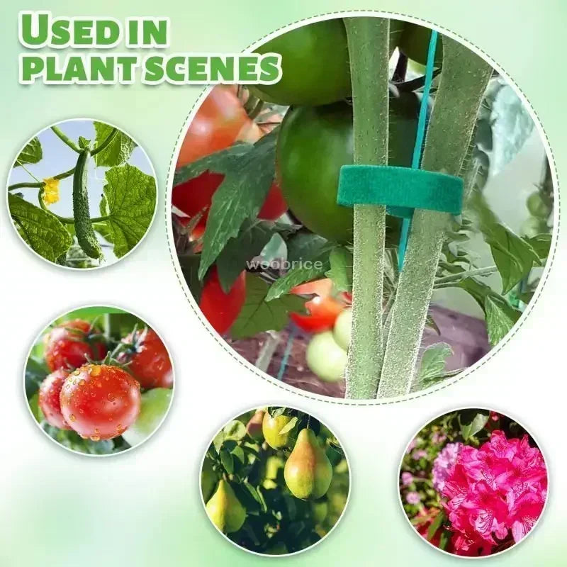 Self Adhesive Nylon Plant Ties Garden Twine Plant Bandage Hook Loop Vine Wrap Support Tape Garden Fastening Strips Cable Tie Zpaxo