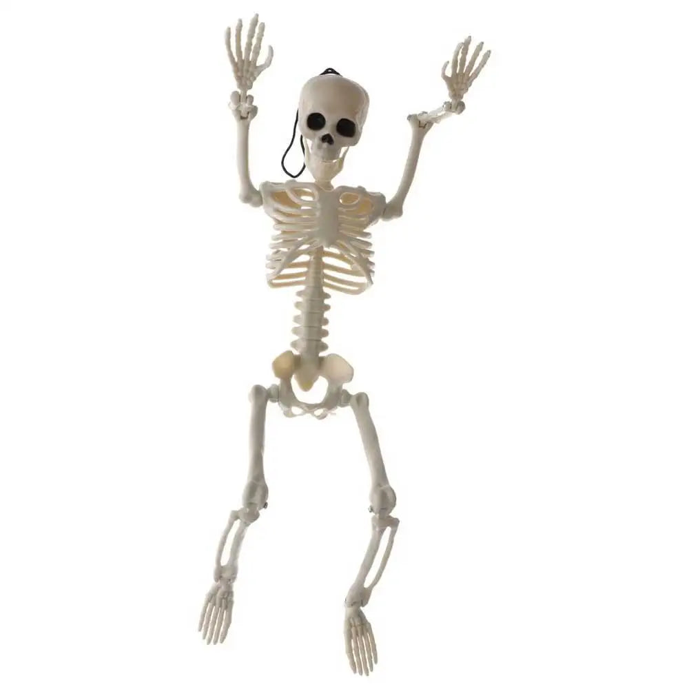 Decoration Skeleton Art Sketch Flexible Learn Aid Human Model Car Zpaxo