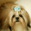Pet Bowknot Hair Ties Assorted Elastic Rubber Bands Dog Cat Puppy