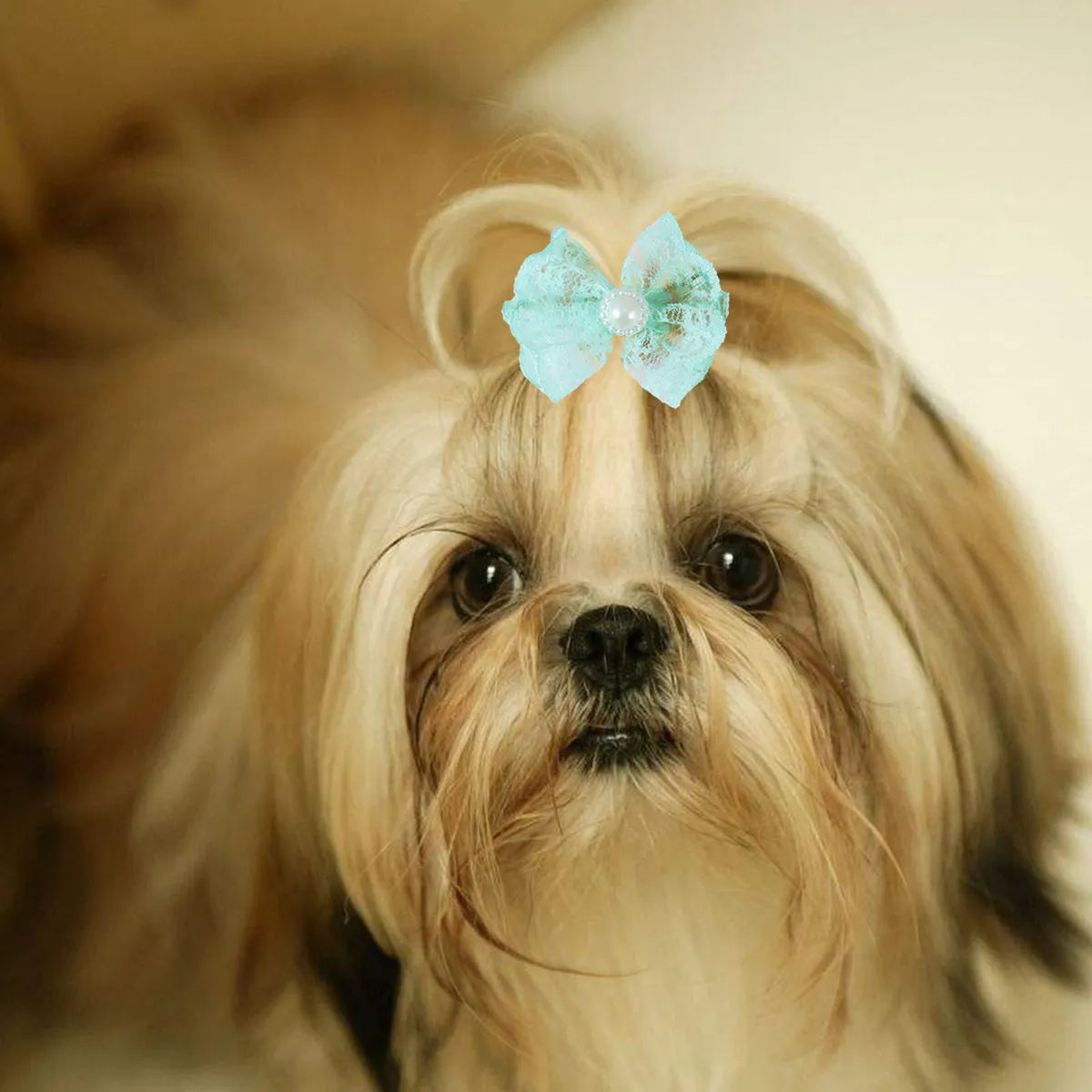 Pet Bowknot Hair Ties Assorted Elastic Rubber Bands Dog Cat Puppy