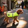 Small Dog Reflective Vest Visibility Fluorescent Orange Adjustable