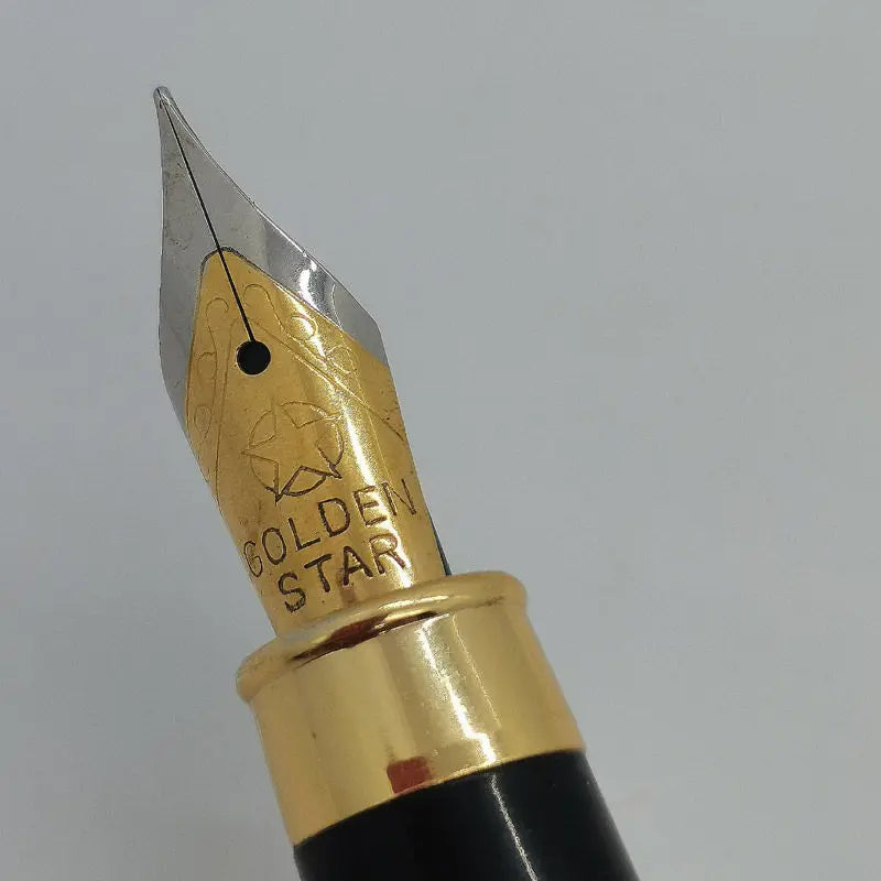 Vintage Beijing Jinxing Fountain Pen, Fine Tip, Metal Barrel, Adult Writing, Iridium Point, Retro, Zpaxo