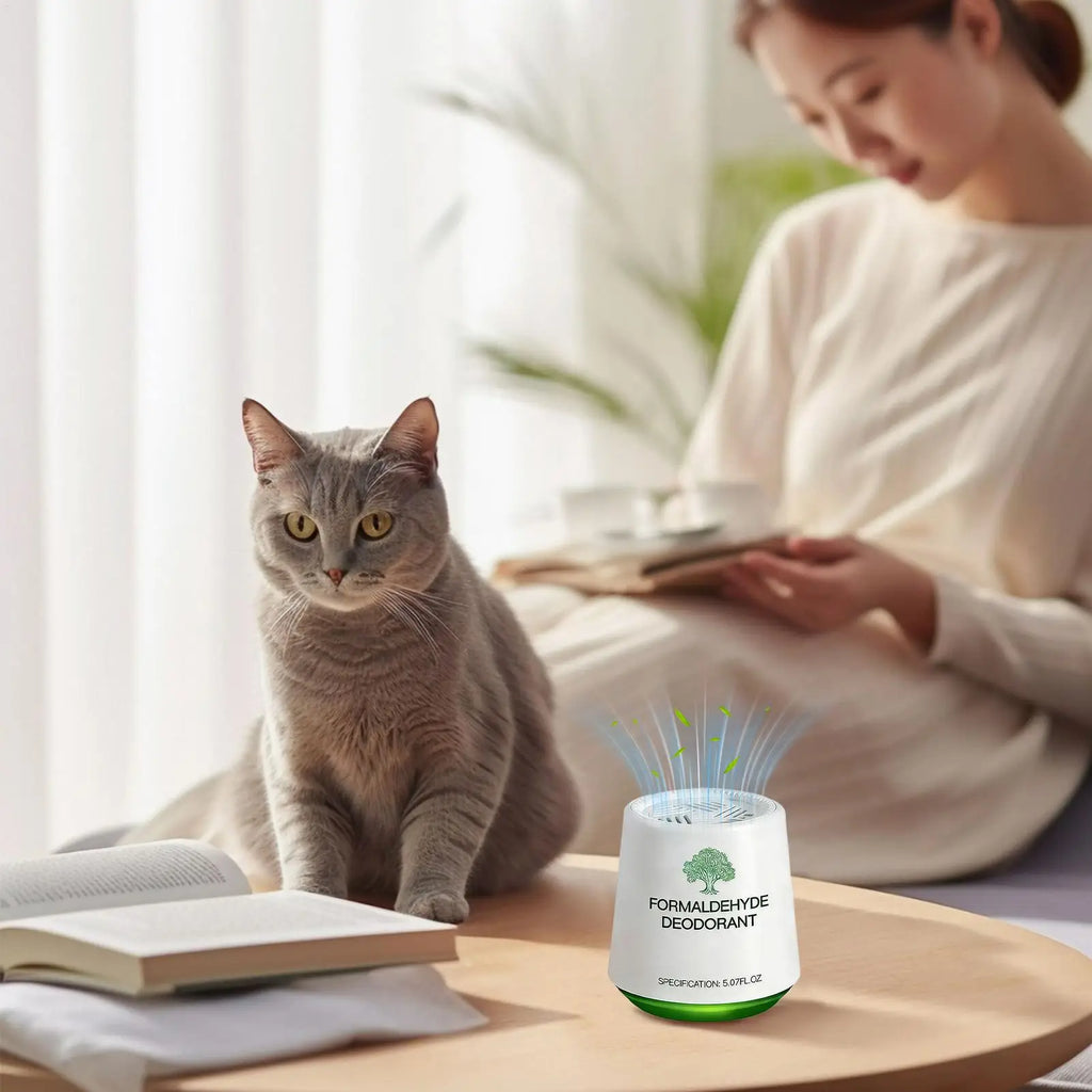 Air Purifier Formaldehyde Cleaning Gel Box Natural Remover Freshener