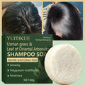 YUITIKUE Cypress Shampoo Bar – Ginseng & Rosemary for Shiny Hair Solid Shampoo Bar Zpaxo Default Title