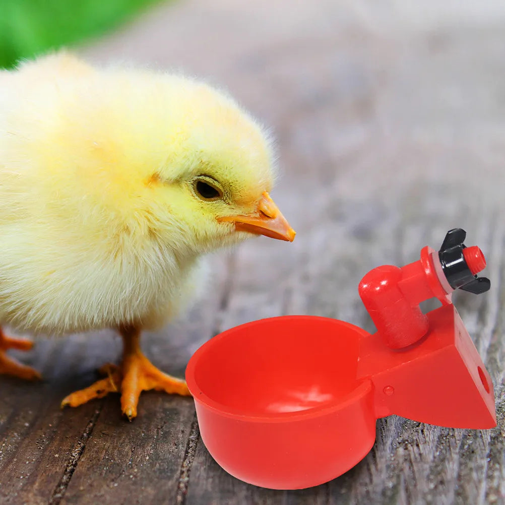 Poultry Water Bowl Plastic Sturdy Dispenser Simple Structure