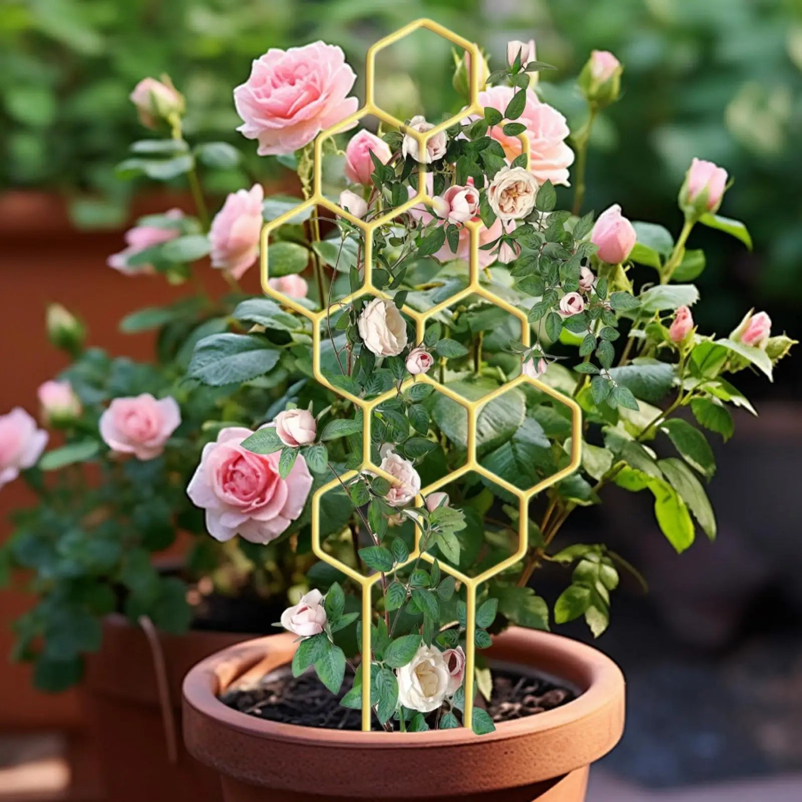 Rustproof Plastic Plant Trellis for Climbing Vines & Flowers Plant Climbing Trellis Zpaxo