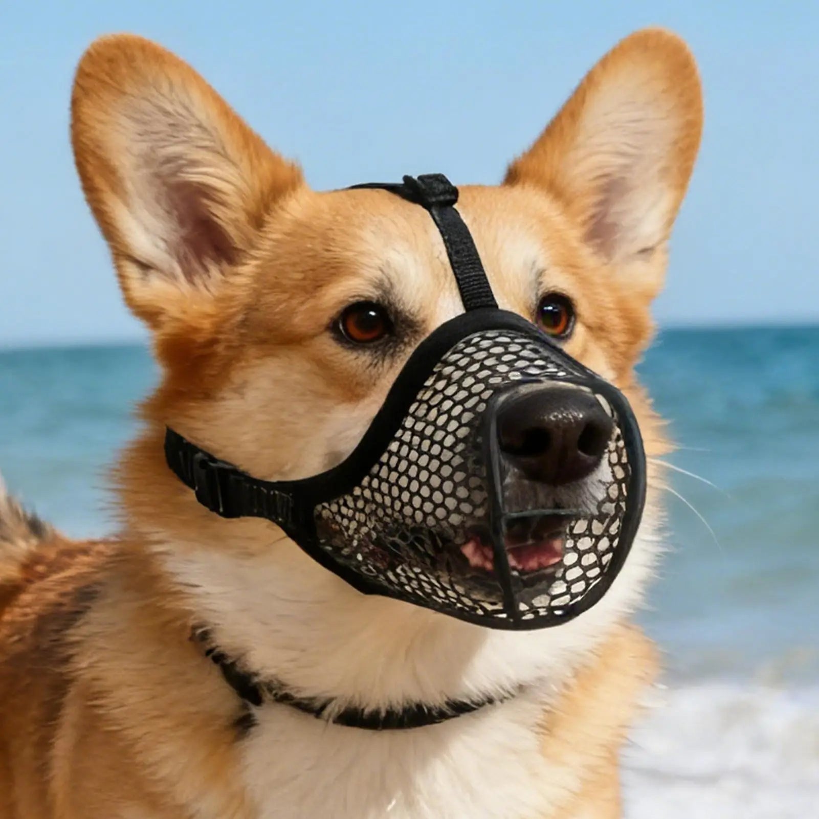 1PC Dog Muzzle Mesh Large Dog Breathable Grid Prevent Random Eating Stop Barking Golden Retriever Dog Mouth Cage Pet Mask Zpaxo