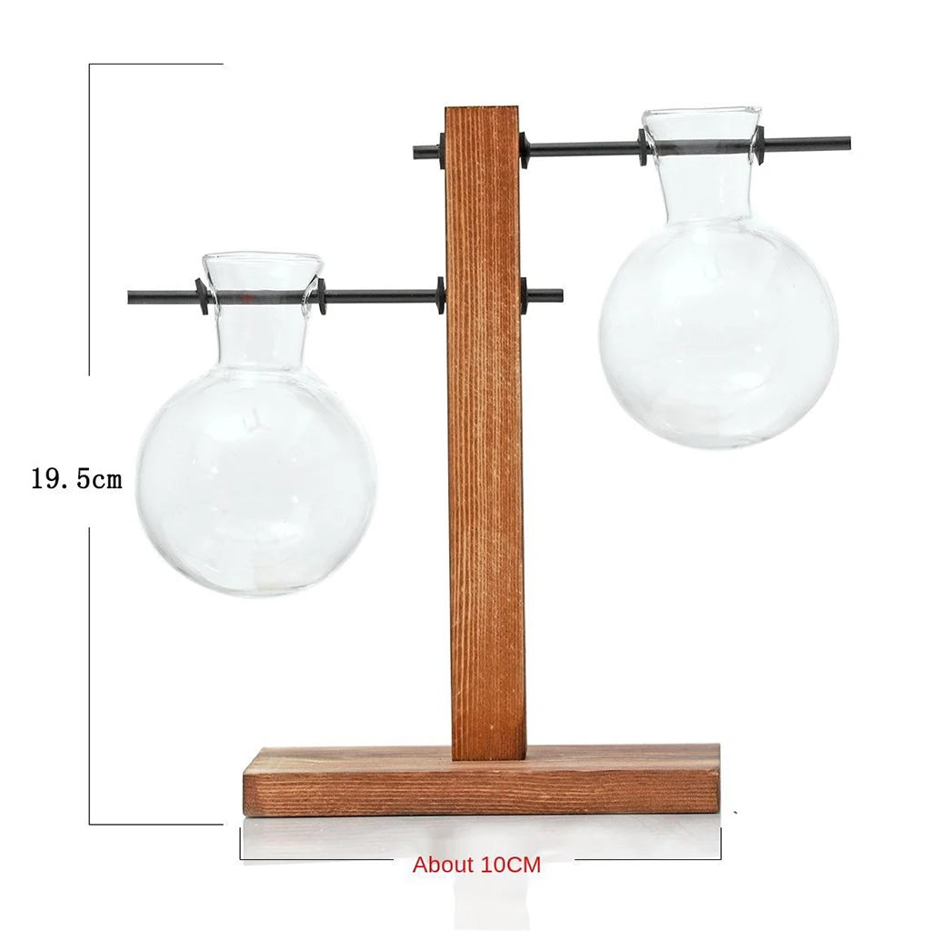 Glass Bulb Vase with Wooden Stand | Hydroponic Desktop Planter Hydroponic Glass Vase Zpaxo