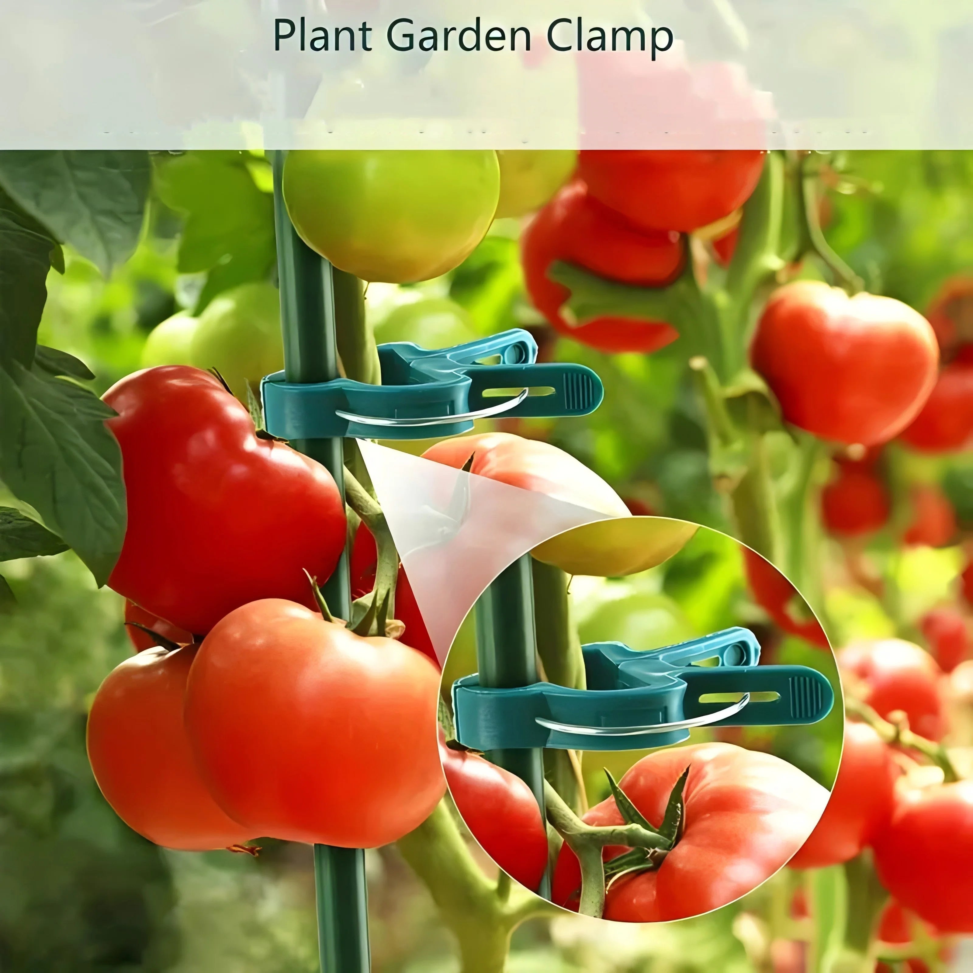 50 30 Adjustable Plant Clips Reusable Garden Support Flowers Vines Zpaxo