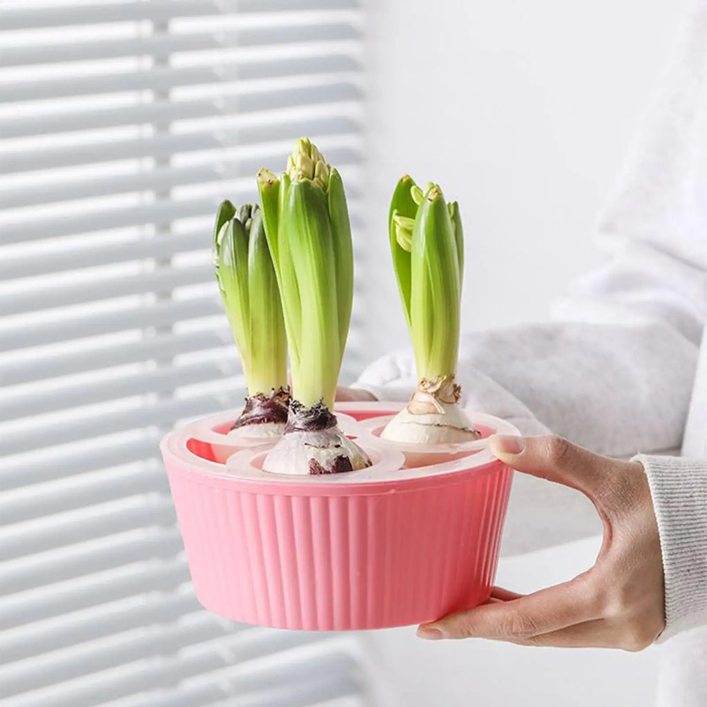 Hydroponic Planter 3 Hole Vase Flower Bulb Planting Container