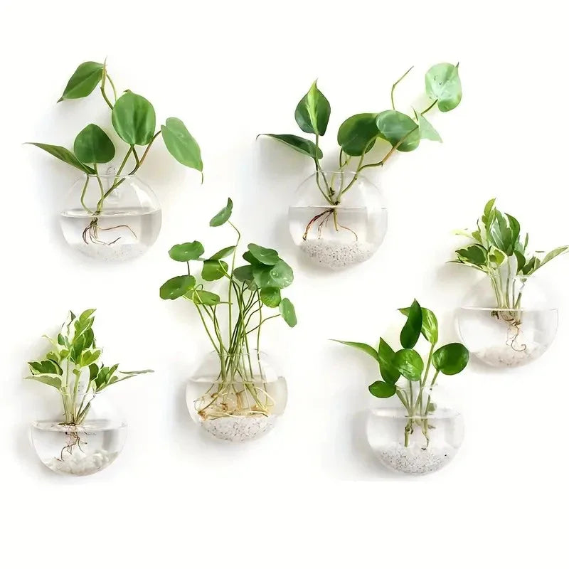 Glass Wall-mounted Plant Greenhouse Propagation Station Vase Air Home