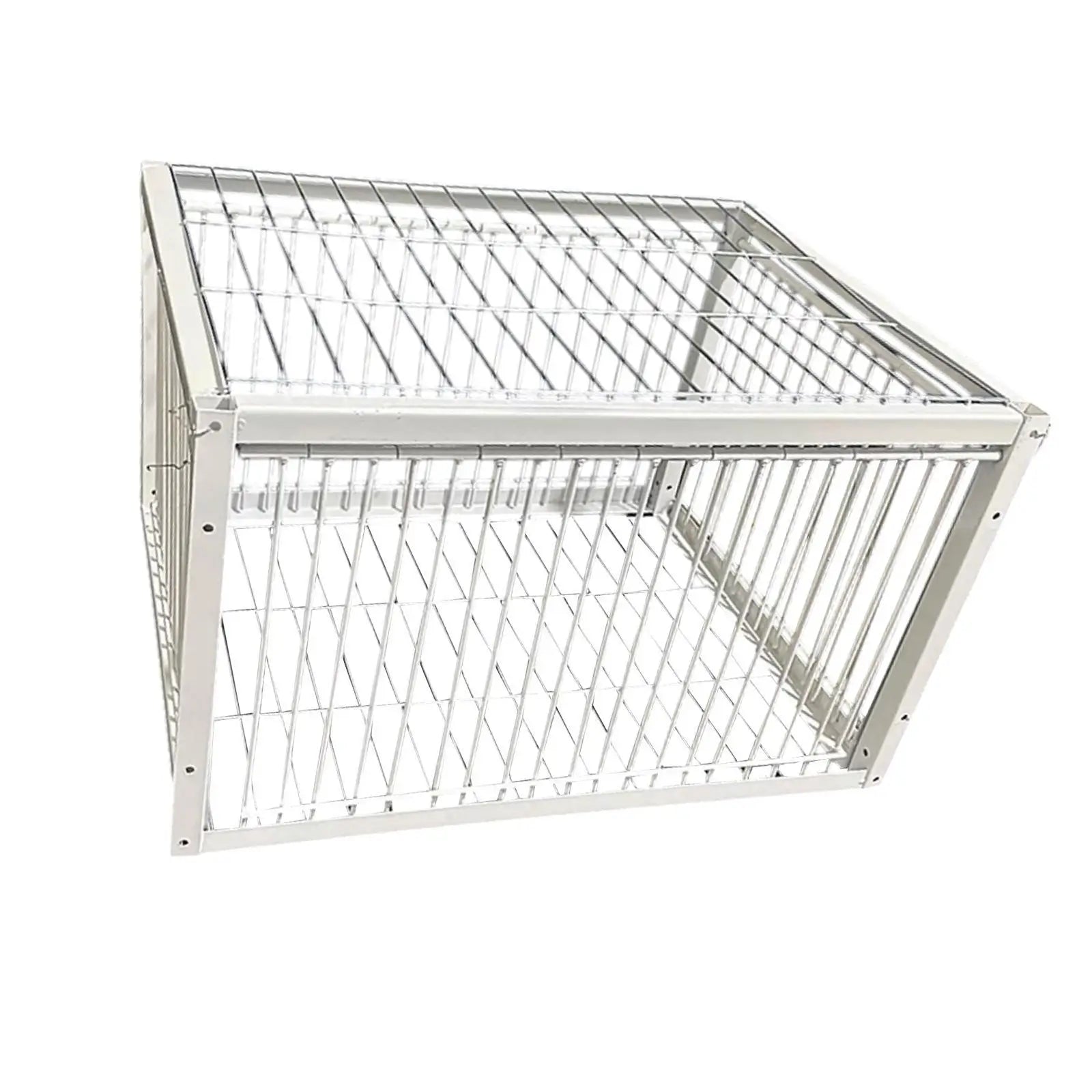 Pigeon Trap Humane Poultry Care Single Way Entry Metal Welding Coop Zpaxo 1 Way Entrance