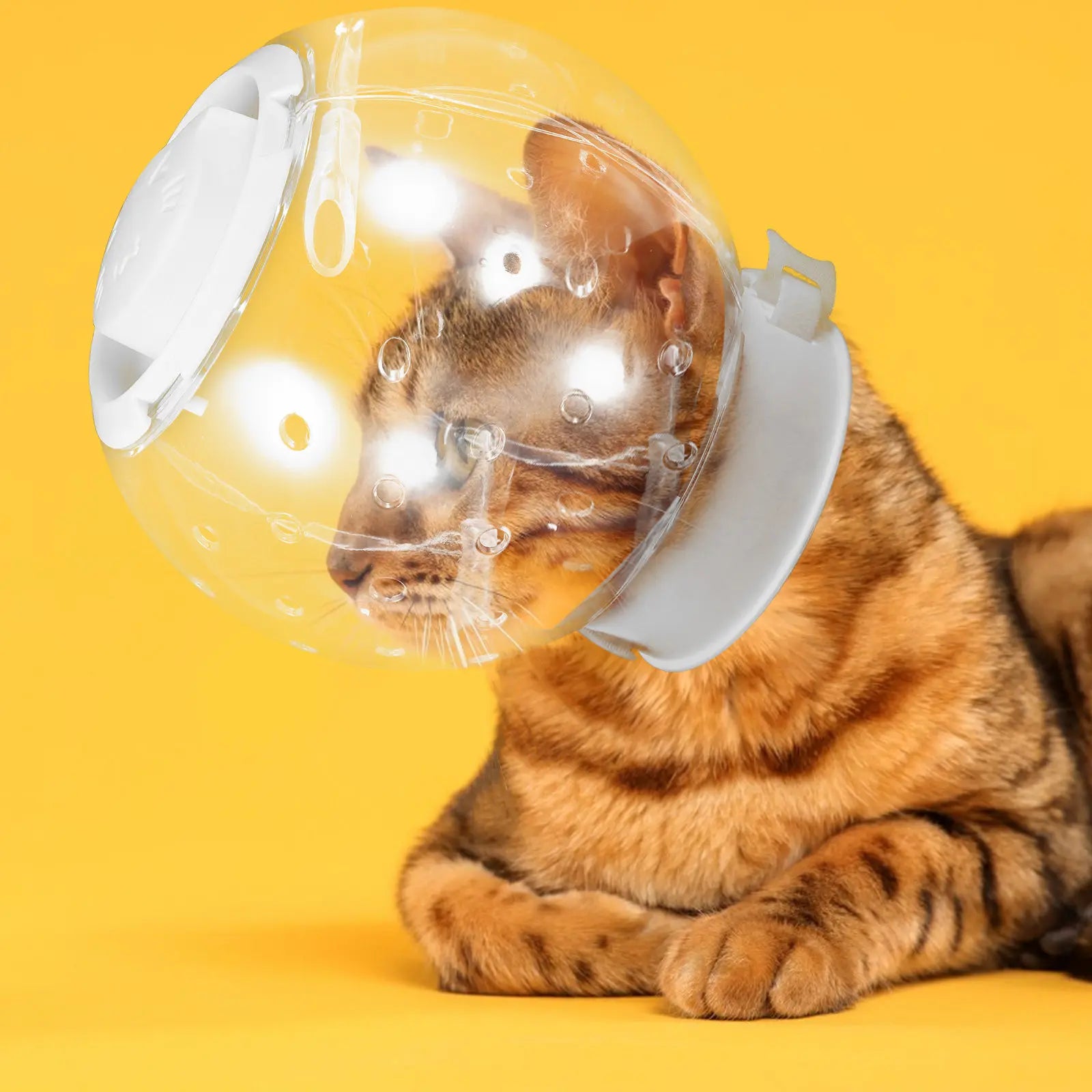 Kitten Clear Bubble Breathable Ventilated Protective Shield Surgery