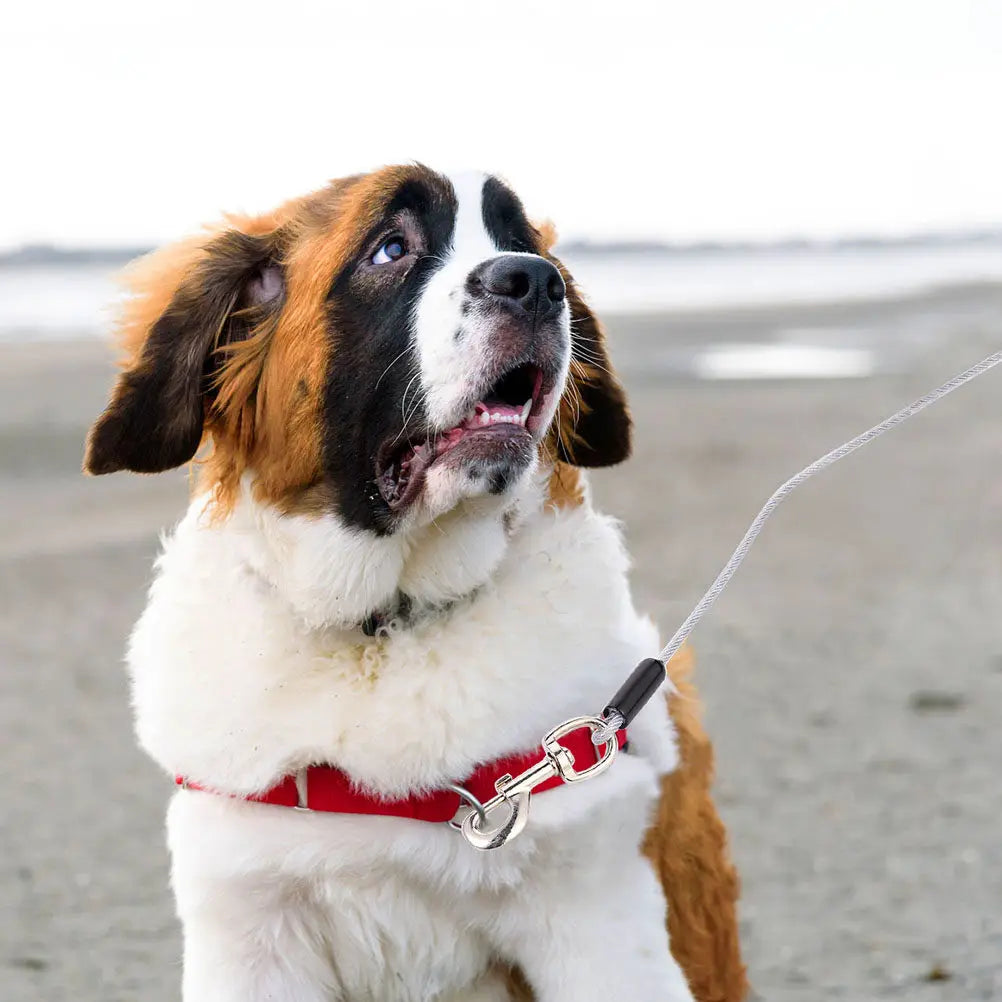 Dog Traction Strap Double Heads Steel Wire Rope Outdoor Pet Pulling