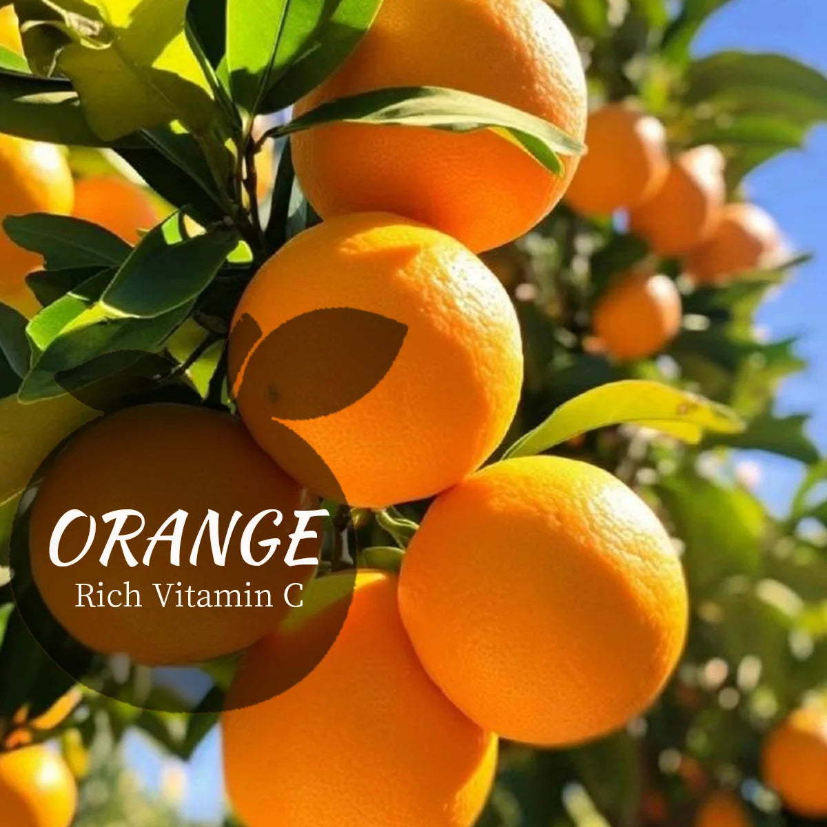 VC Orange Cleansing Mousse + Silicone Brush – Oil Control Facial Cleansing Mousse Zpaxo