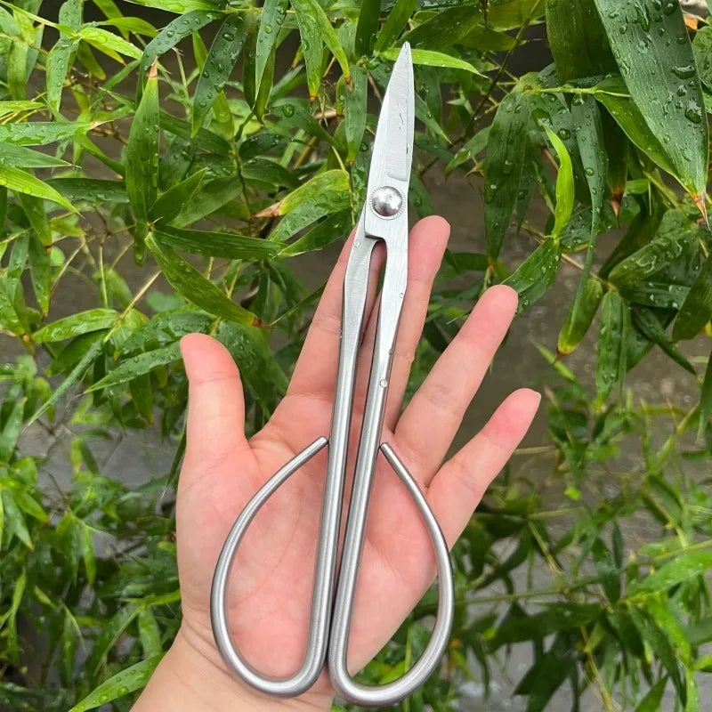 Tender Leaf Scissors Bonsai Tools Branch Scissors Extended Stainless Steel Gardening Scissors Tender Leaf Sprouts Pruning Scisso Zpaxo