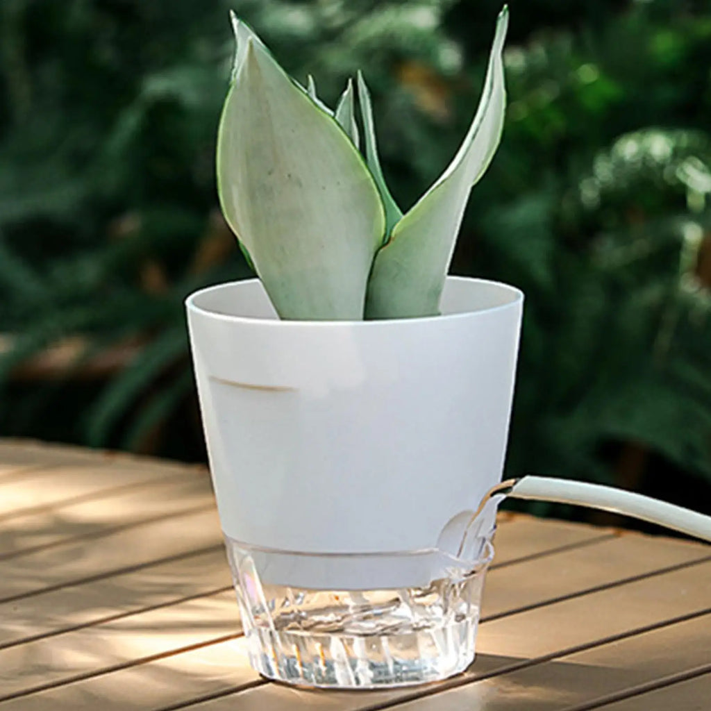 Self Watering Pots 5 Grow Box Nursery Water Level Indicator Indoor