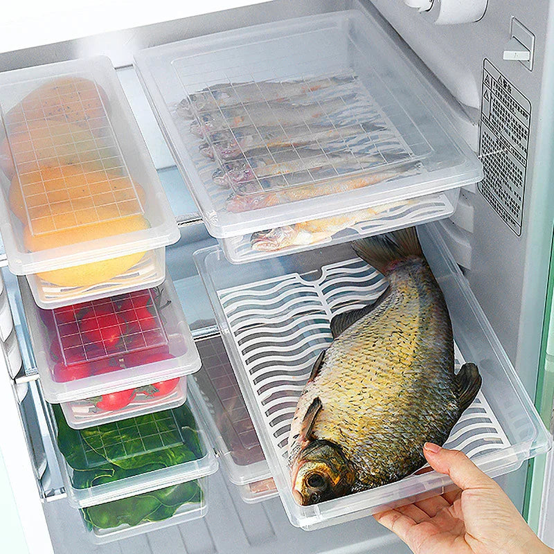Removable Drain Plate Tray For Keep Fruits Vegetables Meat Fish Food Fresh Storage Box Containers Kitchen Fridge Organizer Case Zpaxo