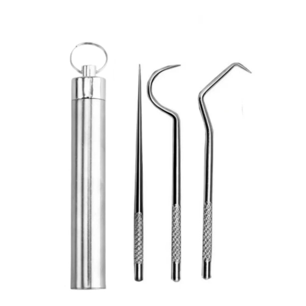 Reusable Stainless Steel Toothpick Set with Keychain Holder Dental Toothpick Set Zpaxo 3PCS
