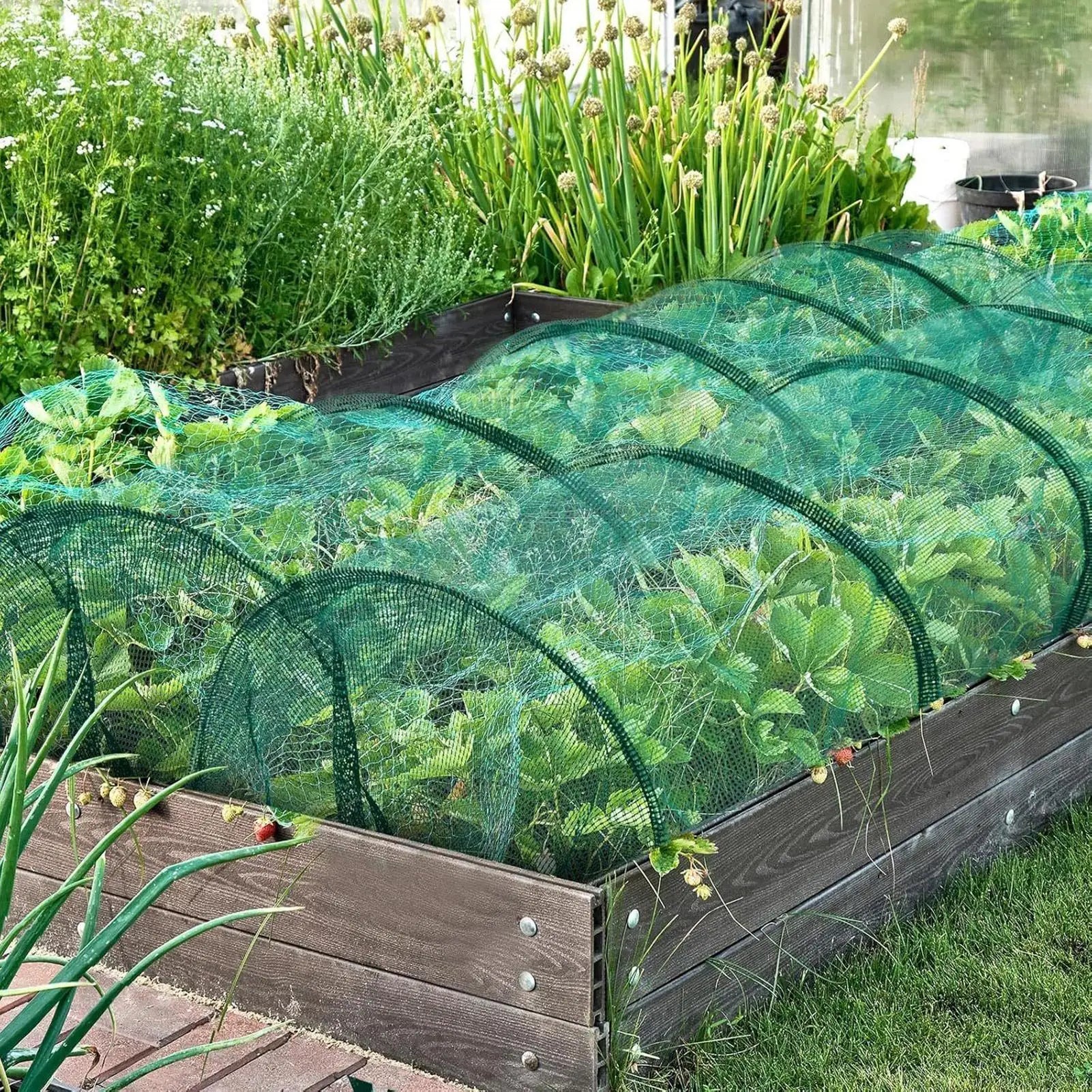 Garden Netting Raised Beds Bird Barrier Screen Vegetable Protection