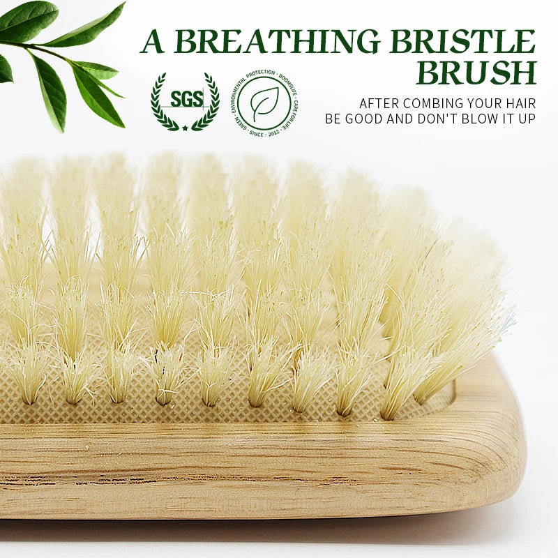BOOMSLIFE Boar Bristle Hair Brush Square Paddle Scalp Massage Hairbrush USA Oak Wood Comb for Hair Women Barber Beauty Hair Care Zpaxo