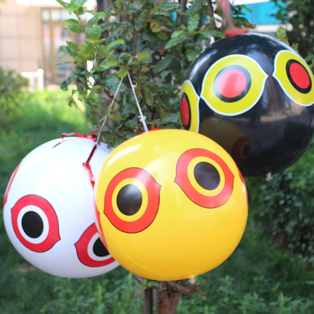 Pigeons Woodpecker Bird Keep Ducks Away Swimming Pool Courtyard