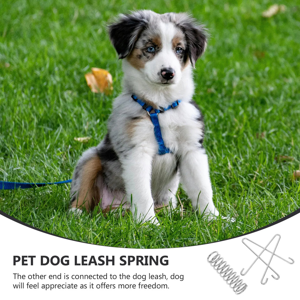 Stainless Steel Leash Spring Heavy Duty Dog Shock Absorber Large