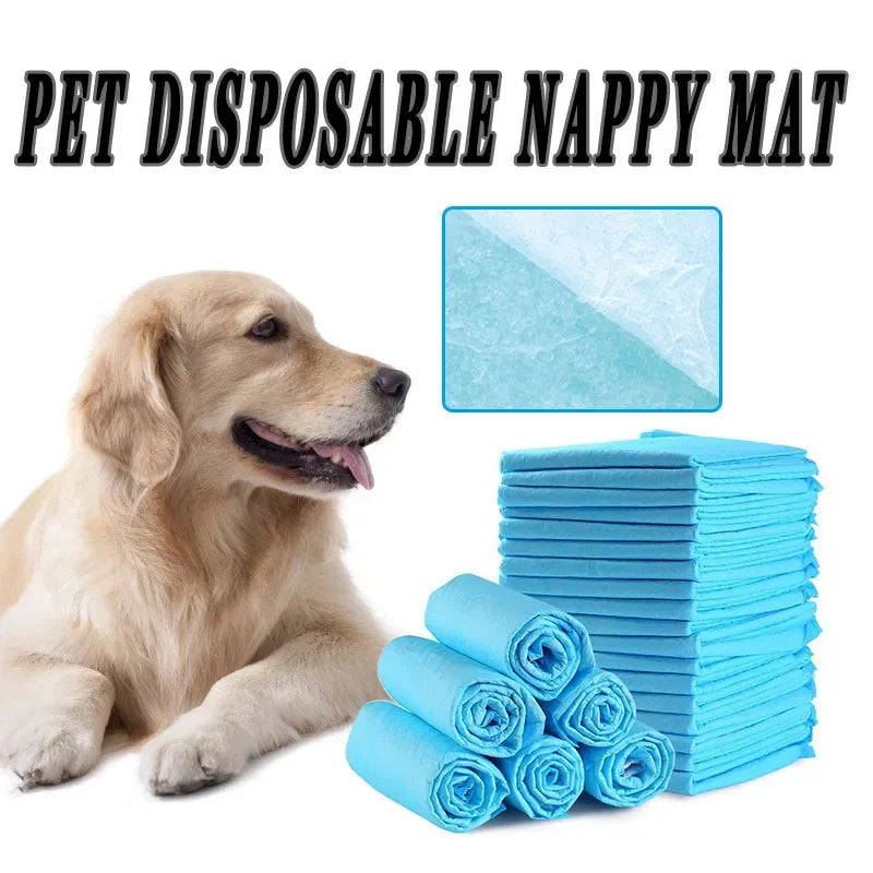 Super Absorbent Pet Diaper Training Pee Pads Urine Nappy Mat Cats Dog Diapers Mat Disposable Quickdry Clean Cushion Pet Supplies Zpaxo