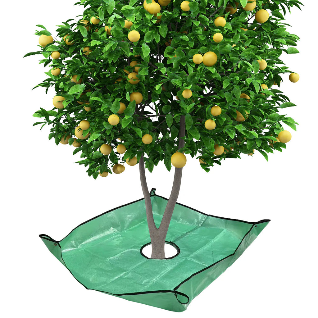 Leaf Tarp 39 37x39 Pruning Center Hole Four Corner Buckles Easy